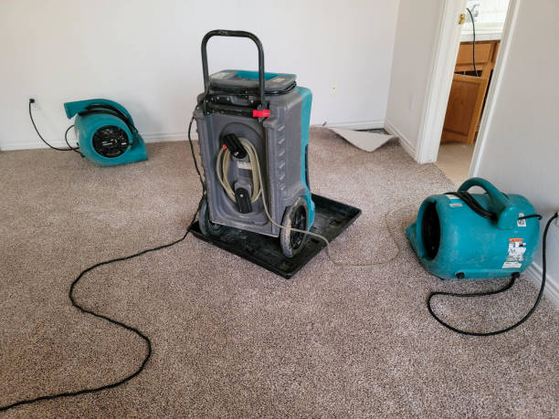 Best 24-hour water damage restoration  in Pottsboro, TX