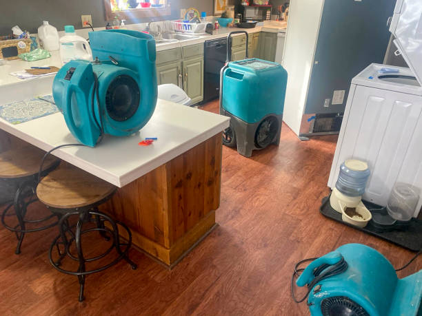 Best Water damage restoration near me  in Pottsboro, TX