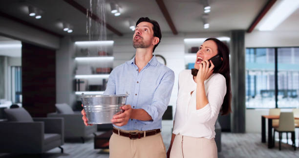 Best Local water damage restoration  in Pottsboro, TX