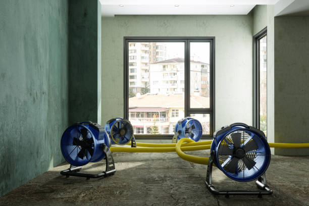 Best Mold removal after water damage  in Pottsboro, TX