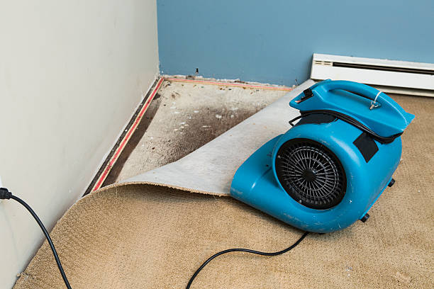 Best Water damage restoration company  in Pottsboro, TX